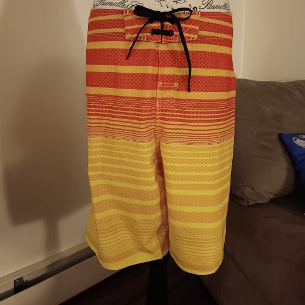 Hang Ten Swim Trunks
